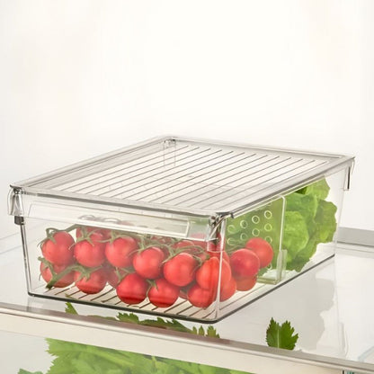 Stackable Clear Storage Organizer With Lid
